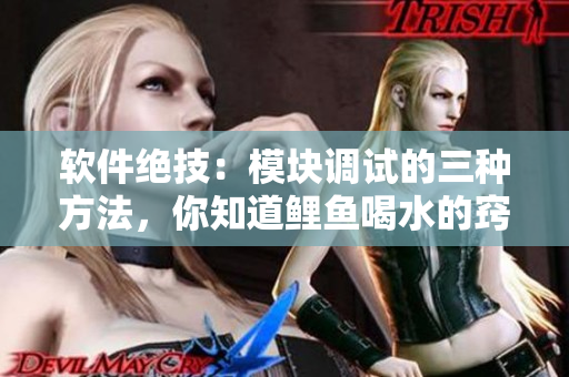軟件絕技：模塊調(diào)試的三種方法，你知道鯉魚(yú)喝水的竅門(mén)嗎？