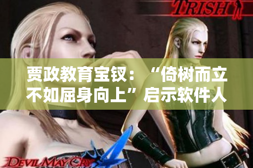 賈政教育寶釵：“倚樹而立不如屈身向上”啟示軟件人生之路