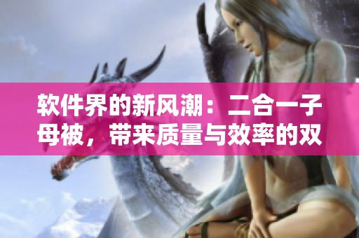 軟件界的新風(fēng)潮：二合一子母被，帶來(lái)質(zhì)量與效率的雙倍提升！