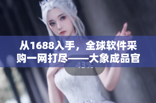 從1688入手，全球軟件采購(gòu)一網(wǎng)打盡——大象成品官網(wǎng)幫您實(shí)現(xiàn)無(wú)縫采購(gòu)！
