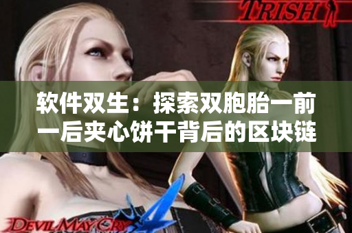 軟件雙生：探索雙胞胎一前一后夾心餅干背后的區(qū)塊鏈技術(shù)