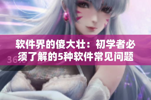 軟件界的傻大壯：初學(xué)者必須了解的5種軟件常見(jiàn)問(wèn)題