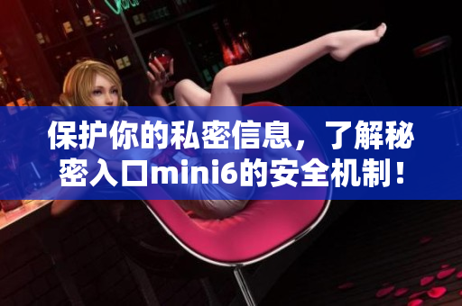 保護(hù)你的私密信息，了解秘密入口mini6的安全機(jī)制！