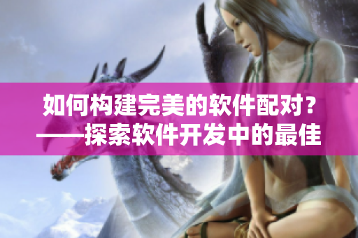 如何構(gòu)建完美的軟件配對？——探索軟件開發(fā)中的最佳搭檔策略