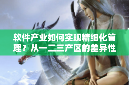 軟件產(chǎn)業(yè)如何實(shí)現(xiàn)精細(xì)化管理？從一二三產(chǎn)區(qū)的差異性探討