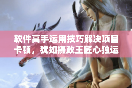 軟件高手運用技巧解決項目卡頓，猶如攝政王匠心獨運用玉髓整治皇帝