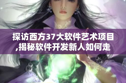 探訪西方37大軟件藝術(shù)項目,揭秘軟件開發(fā)新人如何走向成功