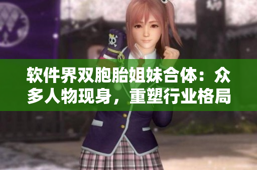 軟件界雙胞胎姐妹合體：眾多人物現(xiàn)身，重塑行業(yè)格局