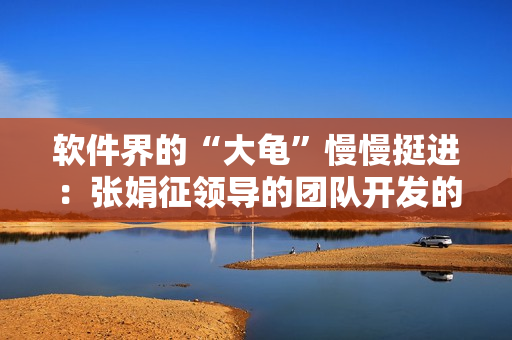 軟件界的“大龜”慢慢挺進(jìn)：張娟征領(lǐng)導(dǎo)的團(tuán)隊(duì)開發(fā)的軟件亮相市場