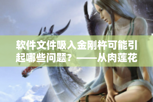 軟件文件吸入金剛杵可能引起哪些問題？——從肉蓮花事件看軟件安全