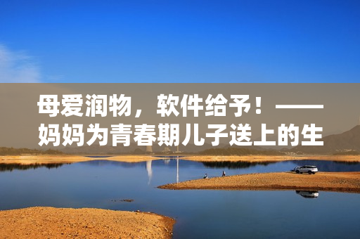 母愛潤物，軟件給予！——媽媽為青春期兒子送上的生日軟件禮物