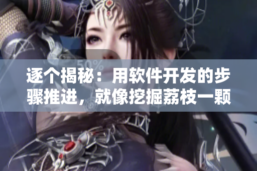 逐個揭秘：用軟件開發(fā)的步驟推進(jìn)，就像挖掘荔枝一顆一顆細(xì)心品嘗