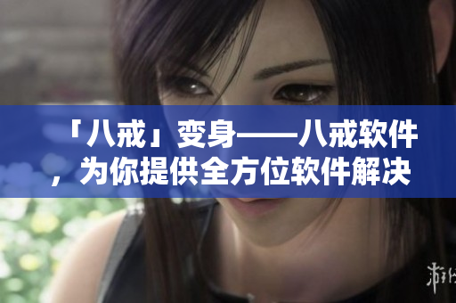 「八戒」變身——八戒軟件，為你提供全方位軟件解決方案！