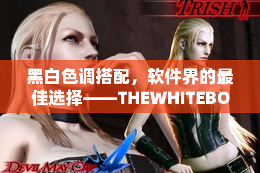 黑白色調(diào)搭配，軟件界的最佳選擇——THEWHITEBOX