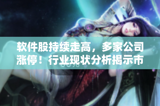 軟件股持續(xù)走高，多家公司漲停！行業(yè)現(xiàn)狀分析揭示市場潛力
