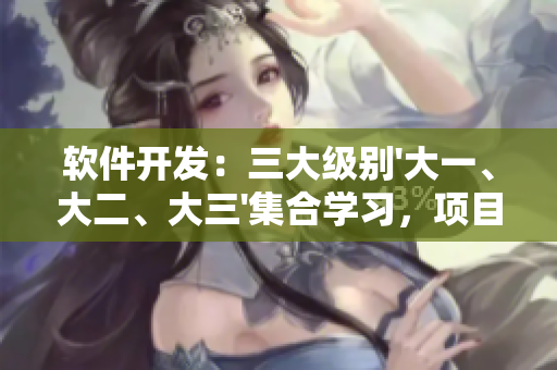 軟件開發(fā)：三大級(jí)別'大一、大二、大三'集合學(xué)習(xí)，項(xiàng)目前三年全覆蓋