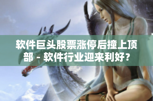 軟件巨頭股票漲停后撞上頂部 - 軟件行業(yè)迎來利好？