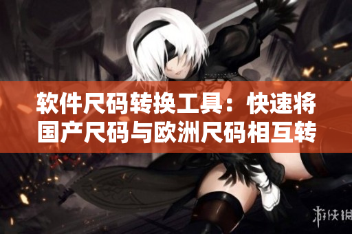 軟件尺碼轉(zhuǎn)換工具：快速將國(guó)產(chǎn)尺碼與歐洲尺碼相互轉(zhuǎn)換！