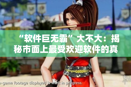 “軟件巨無霸”大不大：揭秘市面上最受歡迎軟件的真實性能與優(yōu)缺點