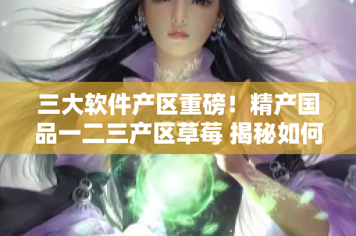 三大軟件產(chǎn)區(qū)重磅！精產(chǎn)國品一二三產(chǎn)區(qū)草莓 揭秘如何保障軟件質(zhì)量