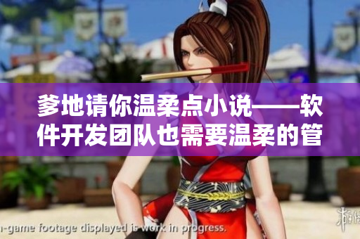 爹地請(qǐng)你溫柔點(diǎn)小說——軟件開發(fā)團(tuán)隊(duì)也需要溫柔的管理方式！