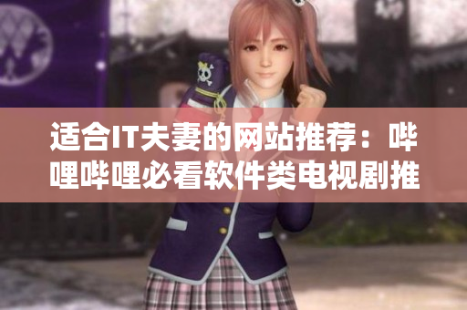 適合IT夫妻的網(wǎng)站推薦：嗶哩嗶哩必看軟件類電視劇推薦