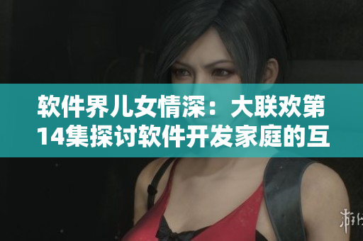 軟件界兒女情深：大聯(lián)歡第14集探討軟件開(kāi)發(fā)家庭的互動(dòng)和成長(zhǎng)