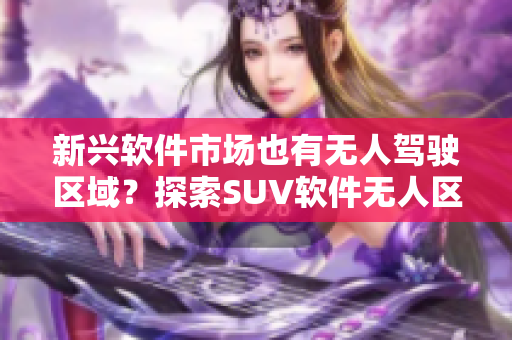 新興軟件市場(chǎng)也有無人駕駛區(qū)域？探索SUV軟件無人區(qū)