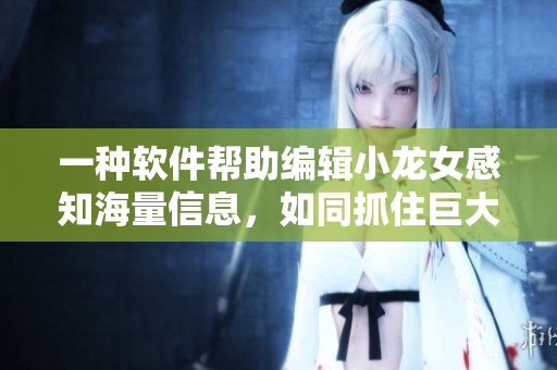 一種軟件幫助編輯小龍女感知海量信息，如同抓住巨大的火龍槍