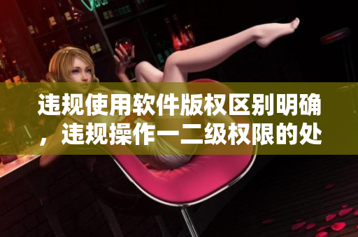 違規(guī)使用軟件版權(quán)區(qū)別明確，違規(guī)操作一二級(jí)權(quán)限的處罰流程詳解