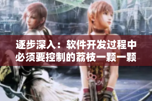 逐步深入：軟件開發(fā)過程中必須要控制的荔枝一顆一顆