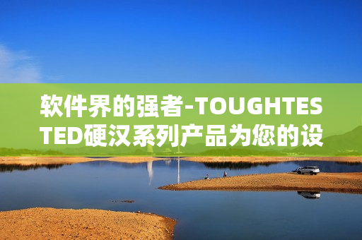 軟件界的強(qiáng)者-TOUGHTESTED硬漢系列產(chǎn)品為您的設(shè)備保駕護(hù)航