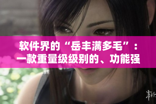 軟件界的“岳豐滿多毛”：一款重量級級別的、功能強(qiáng)大的軟件
