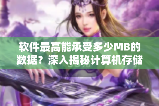 軟件最高能承受多少M(fèi)B的數(shù)據(jù)？深入揭秘計(jì)算機(jī)存儲(chǔ)極限！
