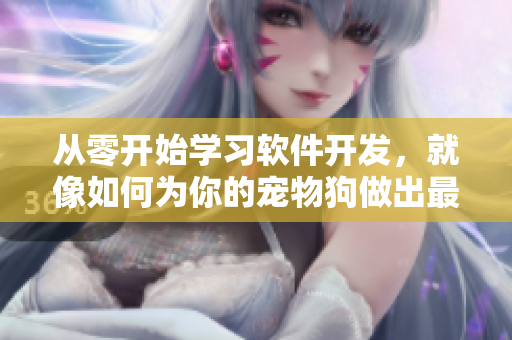 從零開始學習軟件開發(fā)，就像如何為你的寵物狗做出最佳搭配!