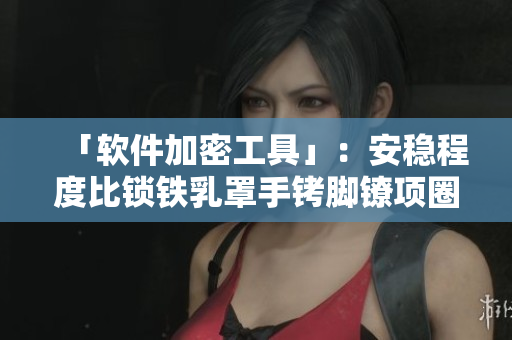「軟件加密工具」：安穩(wěn)程度比鎖鐵乳罩手銬腳鐐項圈鎖還要高的產(chǎn)品