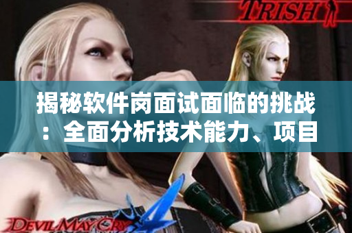 揭秘軟件崗面試面臨的挑戰(zhàn)：全面分析技術(shù)能力、項(xiàng)目經(jīng)驗(yàn)和團(tuán)隊(duì)合作