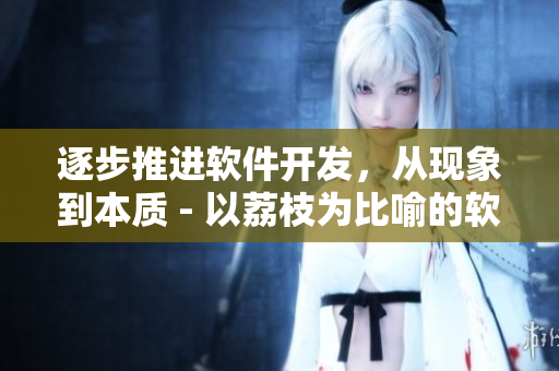 逐步推進(jìn)軟件開(kāi)發(fā)，從現(xiàn)象到本質(zhì) - 以荔枝為比喻的軟件開(kāi)發(fā)步驟剖析