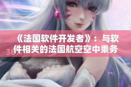 《法國軟件開發(fā)者》：與軟件相關(guān)的法國航空空中乘務(wù)員故事