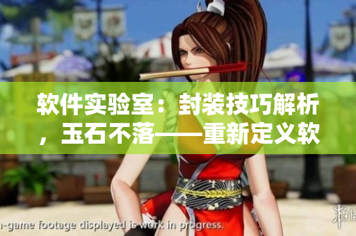 軟件實(shí)驗(yàn)室：封裝技巧解析，玉石不落——重新定義軟件開發(fā)的核心理念