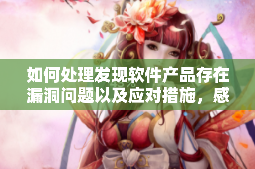 如何處理發(fā)現(xiàn)軟件產(chǎn)品存在漏洞問題以及應(yīng)對(duì)措施，感受一下