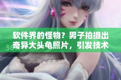 軟件界的怪物？男子拍攝出奇異大頭龜照片，引發(fā)技術界關注