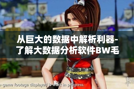 從巨大的數(shù)據(jù)中解析利器-了解大數(shù)據(jù)分析軟件BW毛毛多