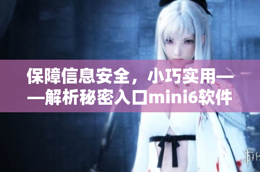 保障信息安全，小巧實(shí)用——解析秘密入口mini6軟件的安全保護(hù)機(jī)制