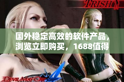 國(guó)外穩(wěn)定高效的軟件產(chǎn)品，瀏覽立即購(gòu)買(mǎi)，1688值得信賴！
