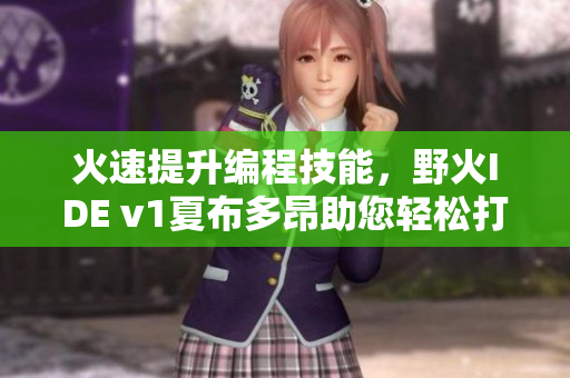 火速提升編程技能，野火IDE v1夏布多昂助您輕松打造高質(zhì)量代碼