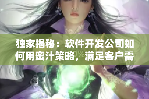 獨家揭秘：軟件開發(fā)公司如何用蜜汁策略，滿足客戶需求