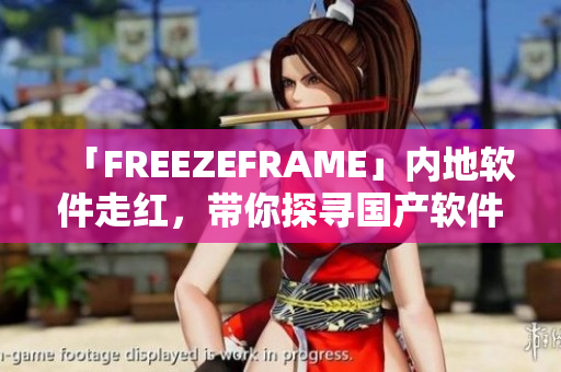 「FREEZEFRAME」內(nèi)地軟件走紅，帶你探尋國產(chǎn)軟件行業(yè)的新機遇