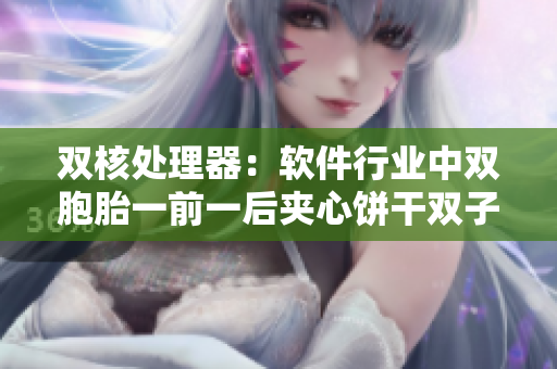 雙核處理器：軟件行業(yè)中雙胞胎一前一后夾心餅干雙子的意義