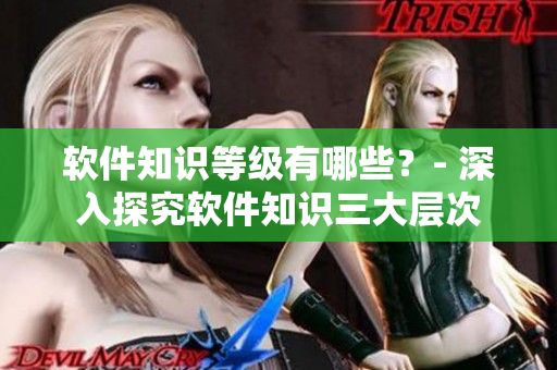 軟件知識(shí)等級(jí)有哪些？- 深入探究軟件知識(shí)三大層次